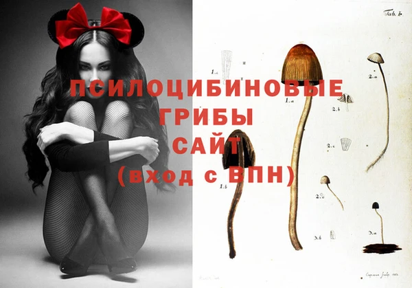 гашишное масло Новозыбков