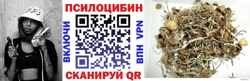 Галлюциногенные грибы ЛСД  Котовск 