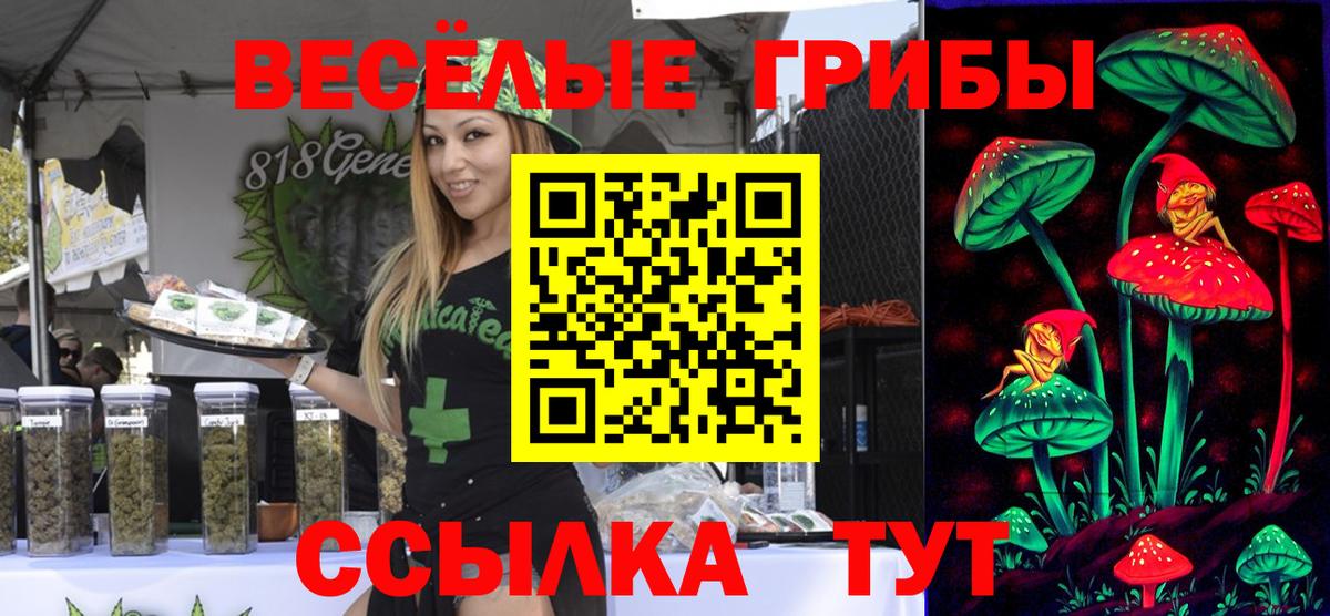 Псилоцибиновые грибы Magic Shrooms Котовск