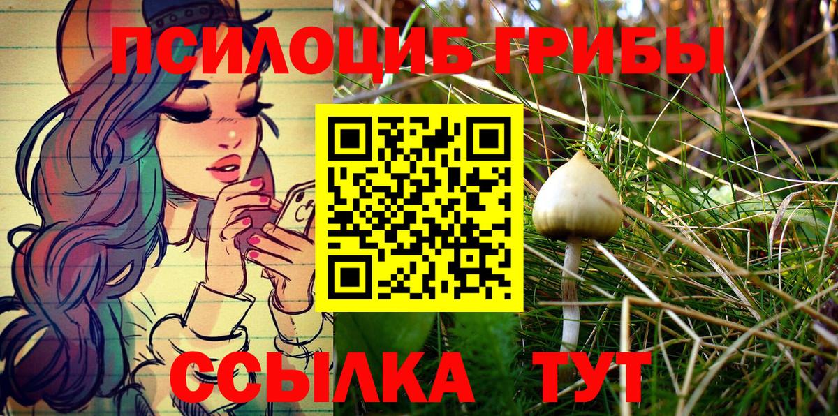 Галлюциногенные грибы Cubensis  Вход с VPN  Псилоцибиновые грибы прущие грибы  Котовск 
