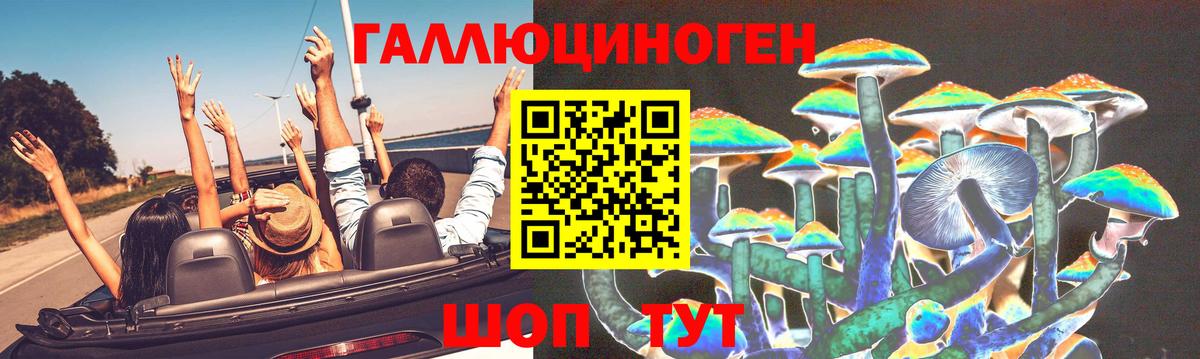 Псилоцибиновые грибы Magic Shrooms Котовск